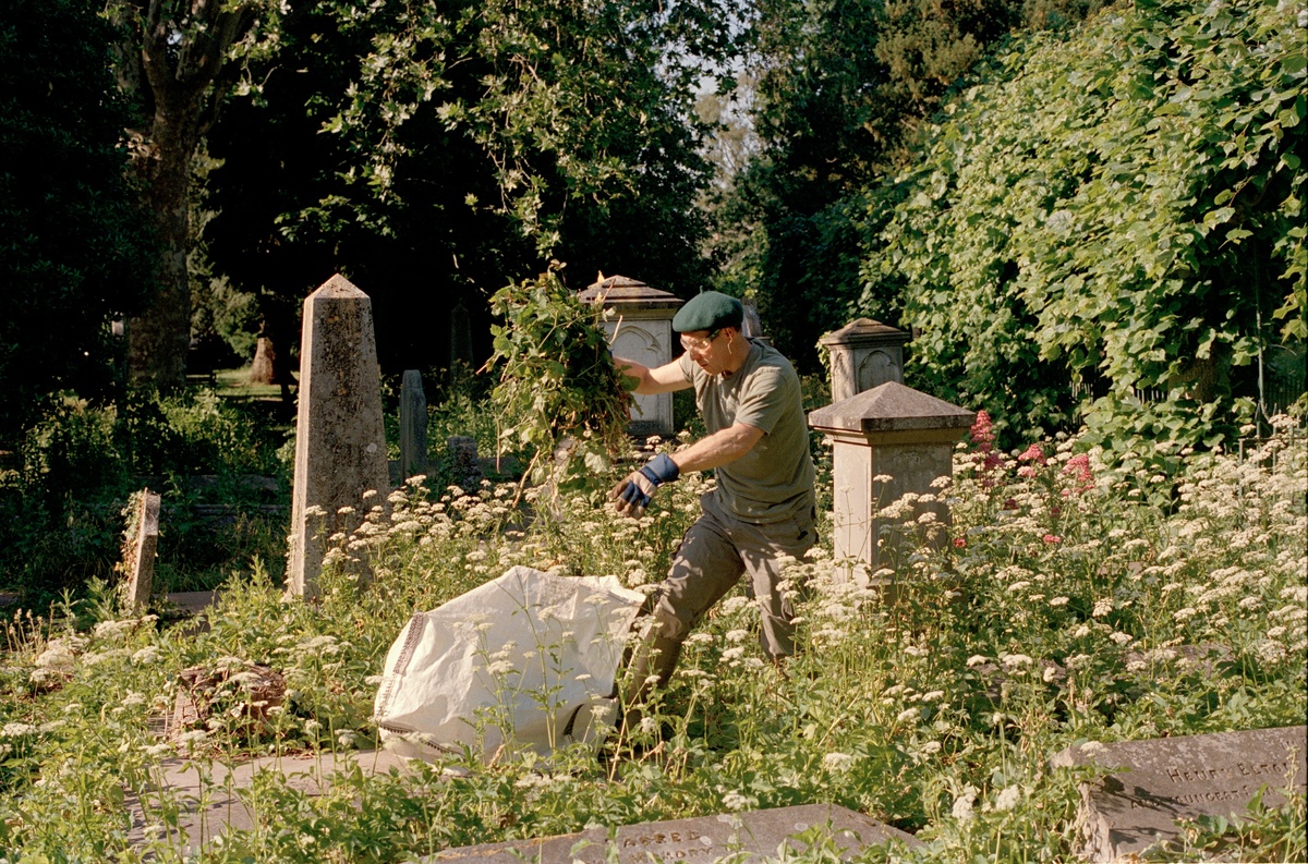 Gardening 25